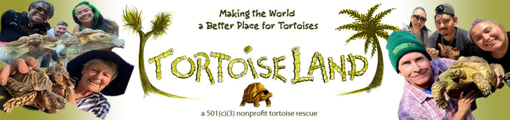 Tortoiseland banner