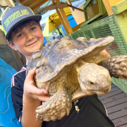 Tortoiseland baseball cap