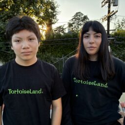 Tortoiseland T-shirt