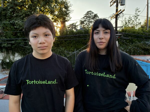 Tortoiseland T-shirt