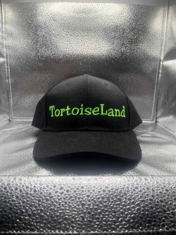 Tortoiseland caps