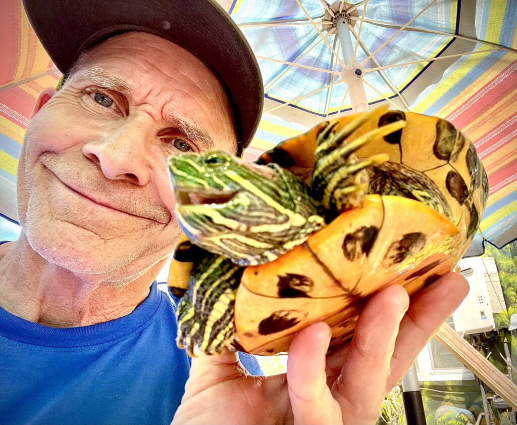 Tortoiseguy & Turtle